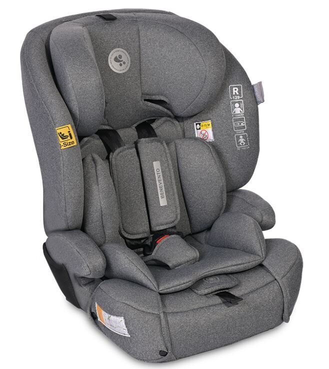 Lorelli Benevento i-Size Κάθισμα Αυτοκινήτου Isofix 76cm-150cm/9-36kg Gray